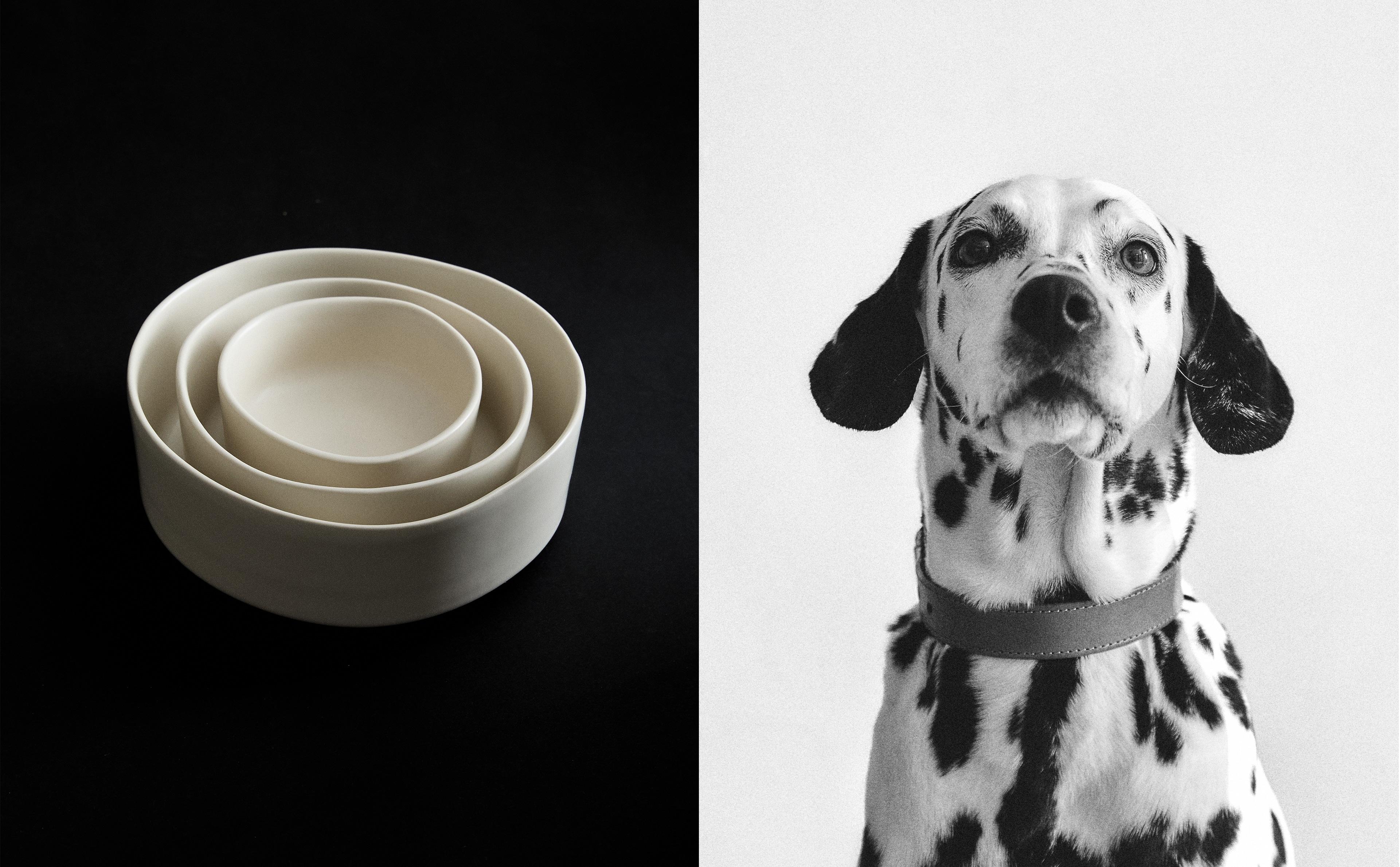 STONEWARE PET FOOD BOWL product thumbnail 10