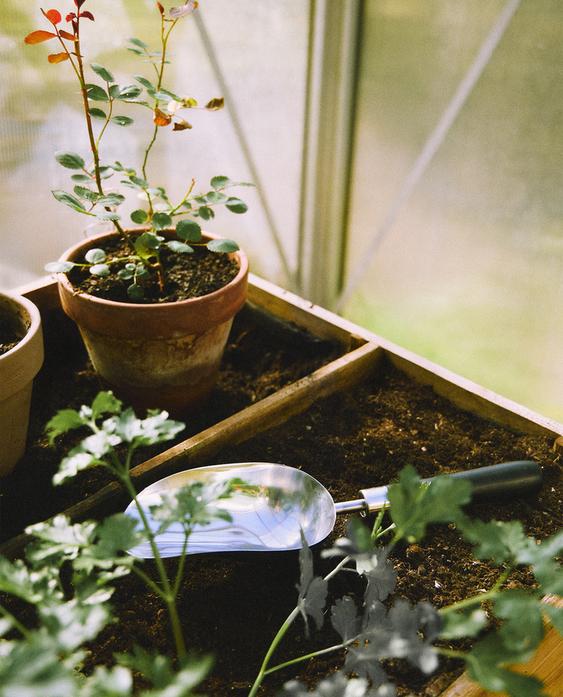 GARDEN SCOOP GARDEN SCOOP