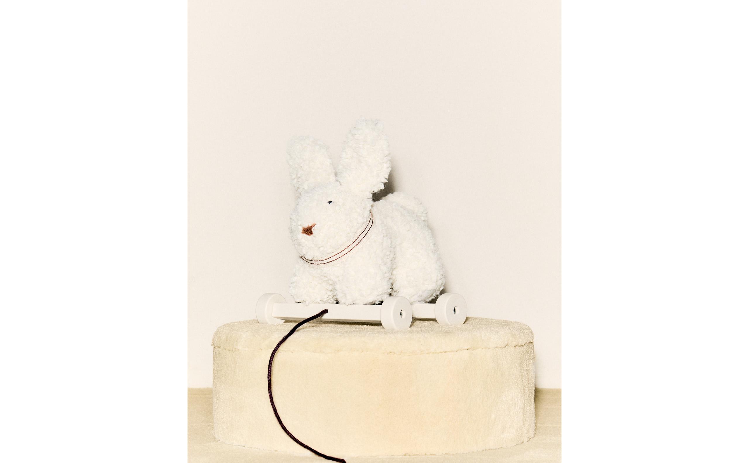 うさぎセット! 楽天市場】Floyd Fortune Rabbit フロイド フォーチュン