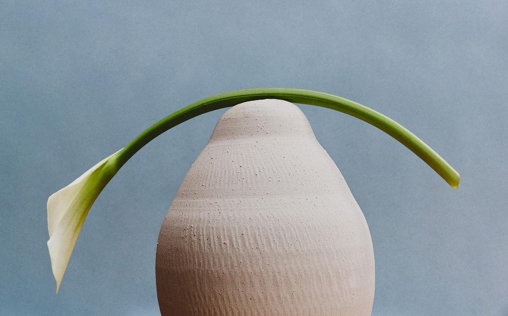 VASE CÉRAMIQUE RUGUEUSE VASE CÉRAMIQUE RUGUEUSE