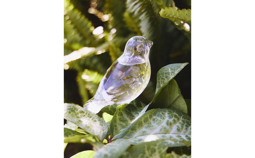 BIRD SELF-WATERING GARDEN BUBBLE