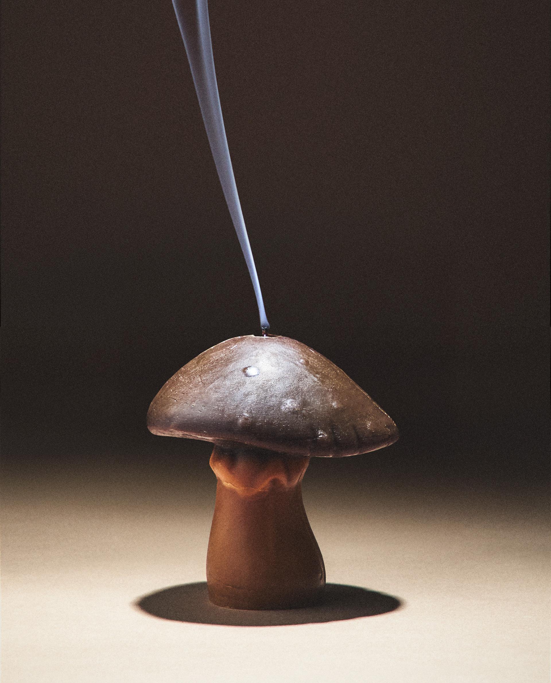 PUMPKIN SPICE マッシュルームアロマキャンドルパック（3個