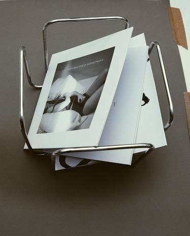 STAINLESS STEEL VINYL ORGANISER