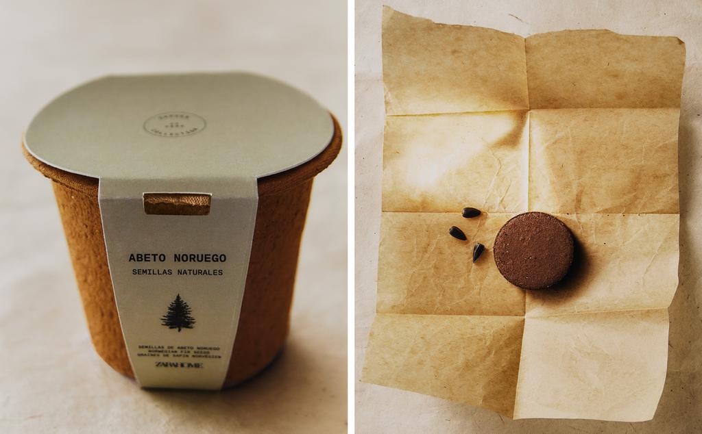 SPARRENBOOM ZAADGROEIKIT SPARRENBOOM ZAADGROEIKIT