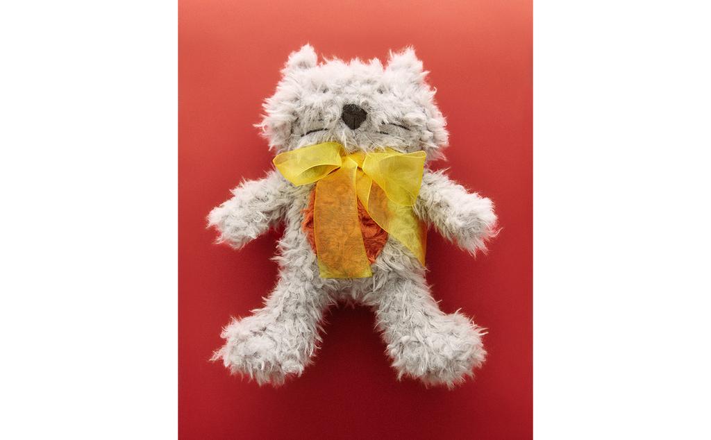 PELUCHE ENFANT CHAT X THE ANIMALS OBSERVATORY