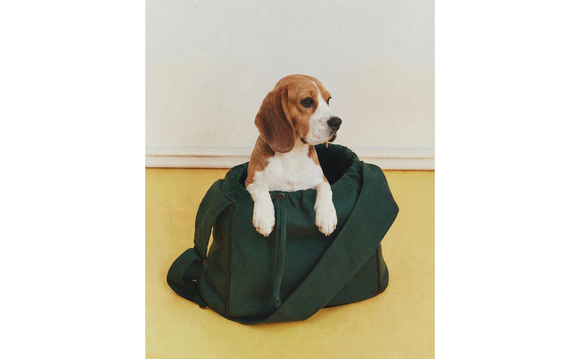 MEDVILNINIS AUGINTINIO KREPŠYS