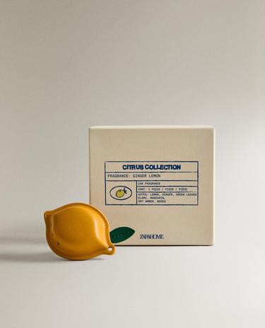 DIFFUSEUR VOITURE ET PLACARD GINGEMBRE CITRON