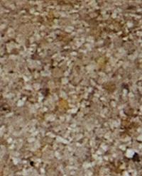 RESIN BATHROOM SOAP DISH product thumbnail 5