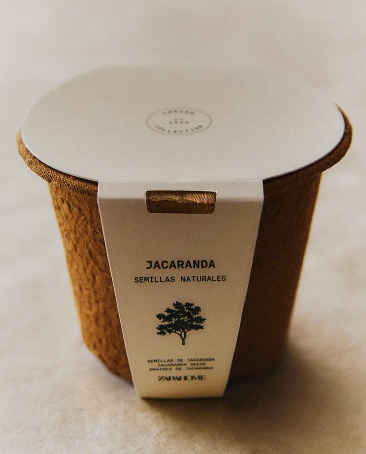 KOMPLET ZA SAJENJE SEMEN JACARANDA