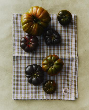 PACK OF CHECK COTTON TEA TOWELS (PACK OF 2)