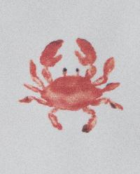 SEA CREATURE STONEWARE DESSERT PLATE product thumbnail 9