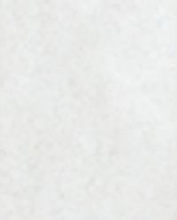 EMBROIDERED COTTON LINEN SHORTS product thumbnail 2