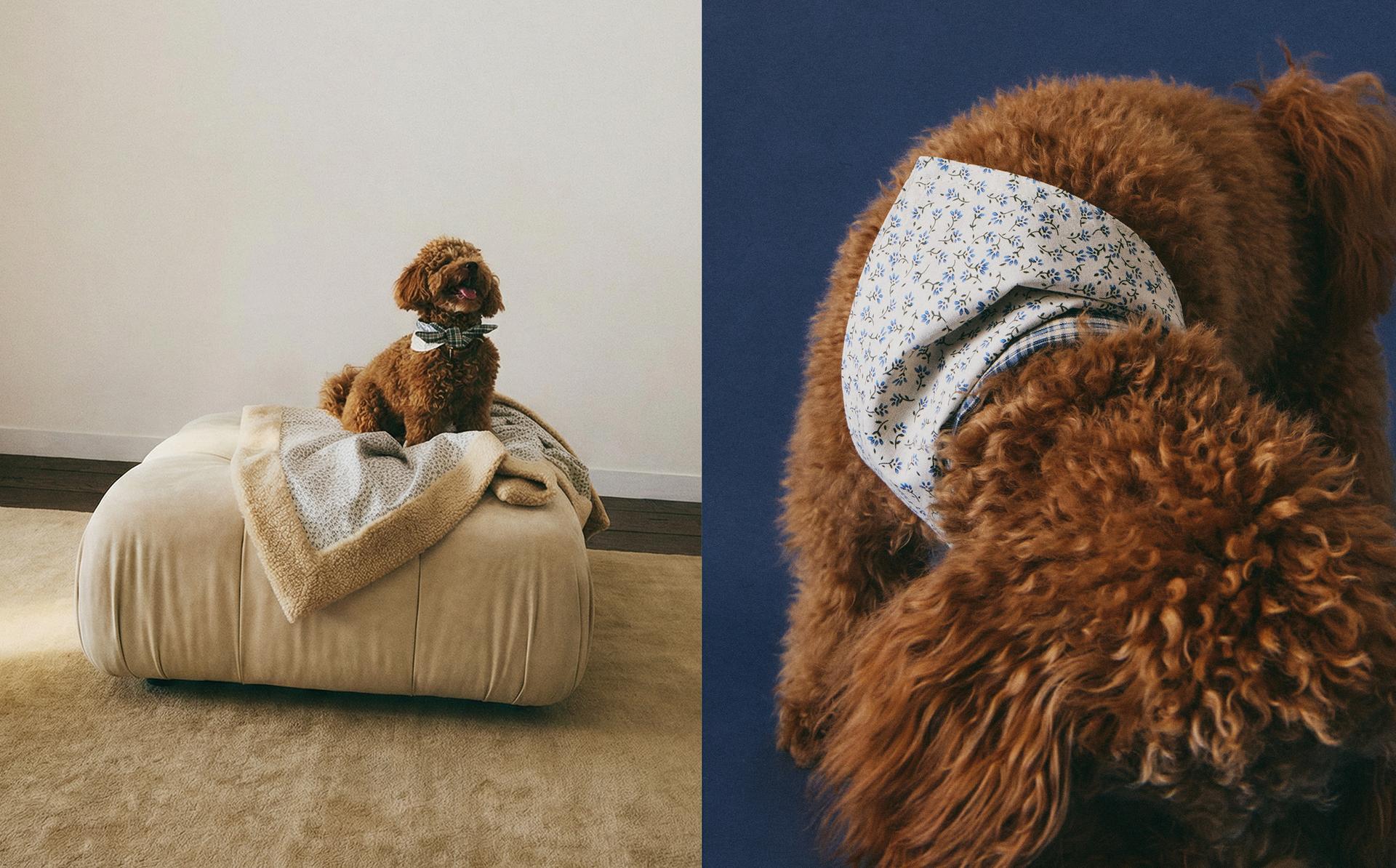 KUKKAKUVIOINEN PUUVILLAINEN LEMMIKIN BANDANA