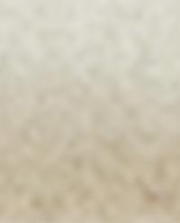 SCOURER TRAY product thumbnail 3