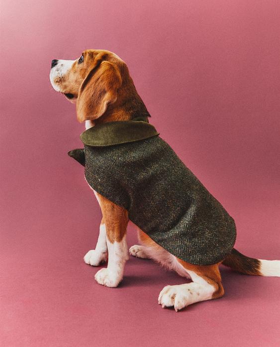 מעיל צמר לחיות מחמד