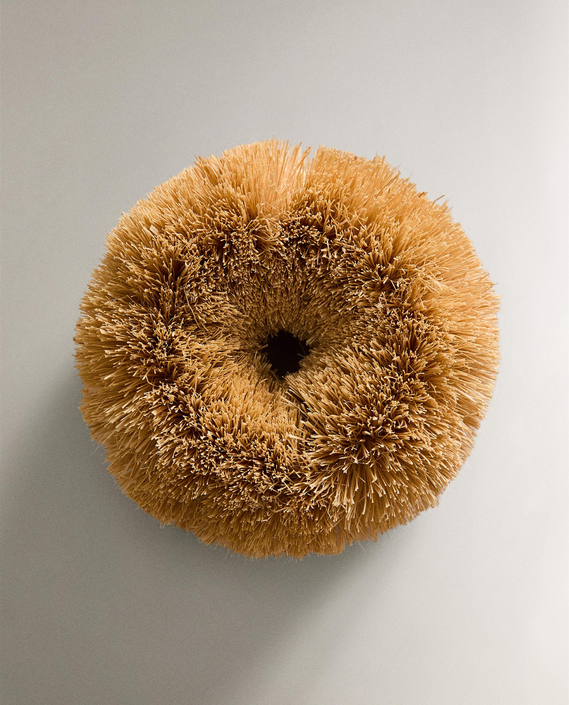 SISAL SCOURER