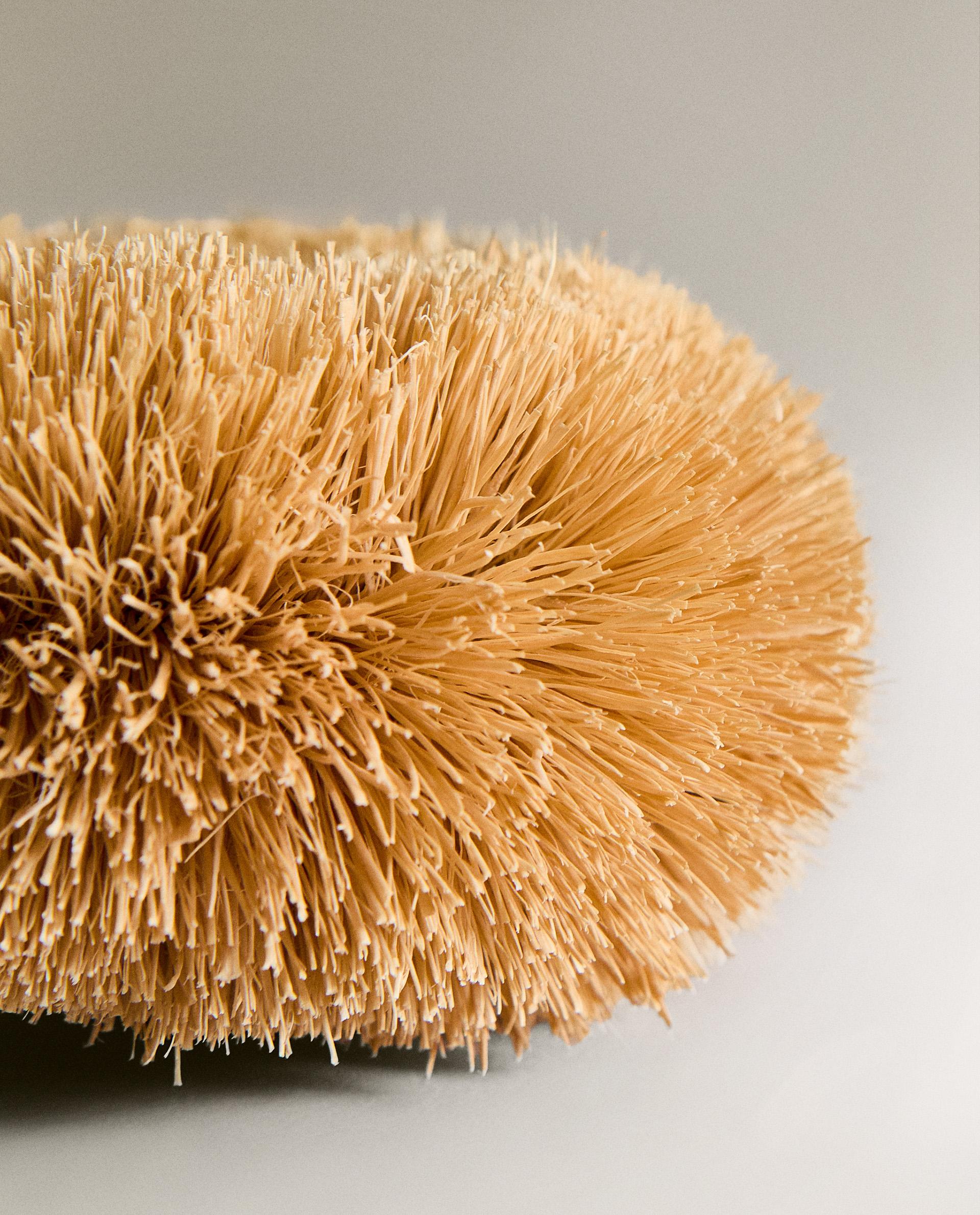 SISAL SCOURER