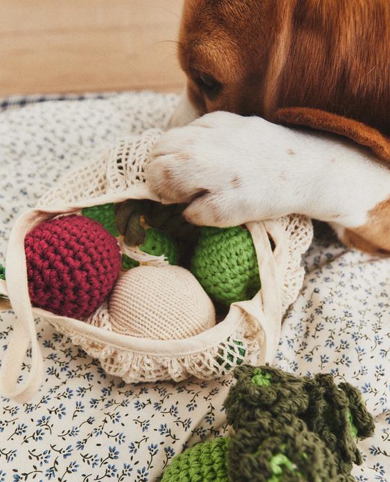 طقم من ألعاب للحيوانات الأليفة الخضروات طقم من ألعاب للحيوانات الأليفة الخضروات