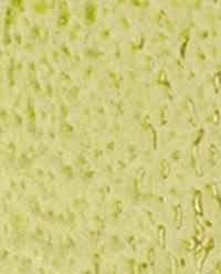 LIME & PEPPERMINT REED DIFFUSERS product thumbnail 11
