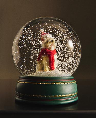 CHRISTMAS MALTESE BICHON SNOW GLOBE