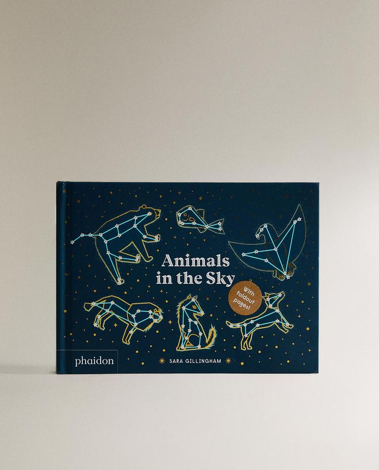 ANIMALS IN THE SKY KIDS' BOOK (ENGLISH)