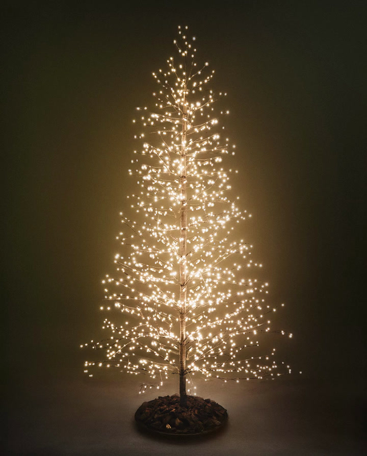 poster.jpg?ts=1761229729175