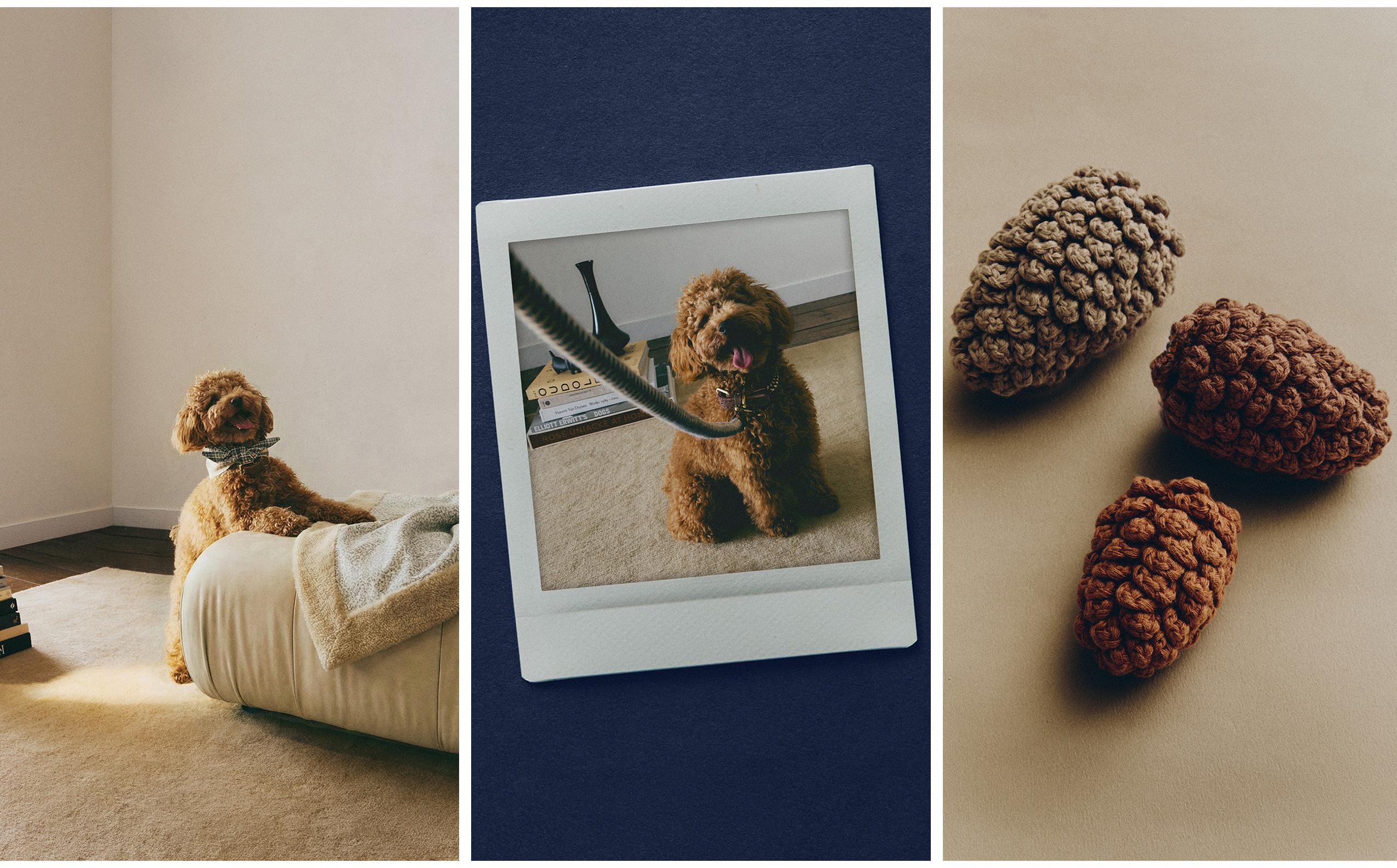 新着情報 | Zara Home 日本/Japan