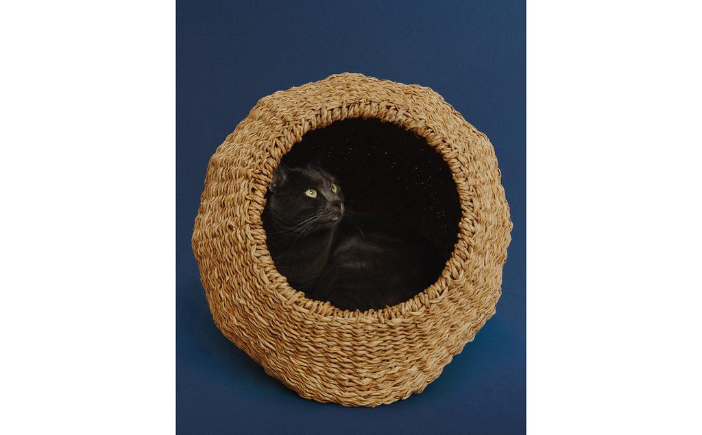 سرير للحيوانات الأليفة من الأعشاب البحرية سرير للحيوانات الأليفة من الأعشاب البحرية