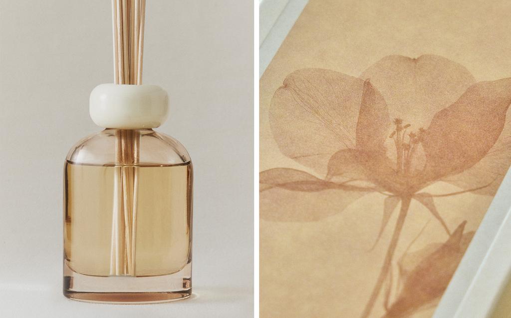 (120 ML) DIFUSOR DE AMBIENTE COM VARETAS JASMINE & MUSK (120 ML) DIFUSOR DE AMBIENTE COM VARETAS JASMINE & MUSK