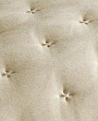 PLAIN QUILTED BEDSPREAD WITH KNOTS product thumbnail 7