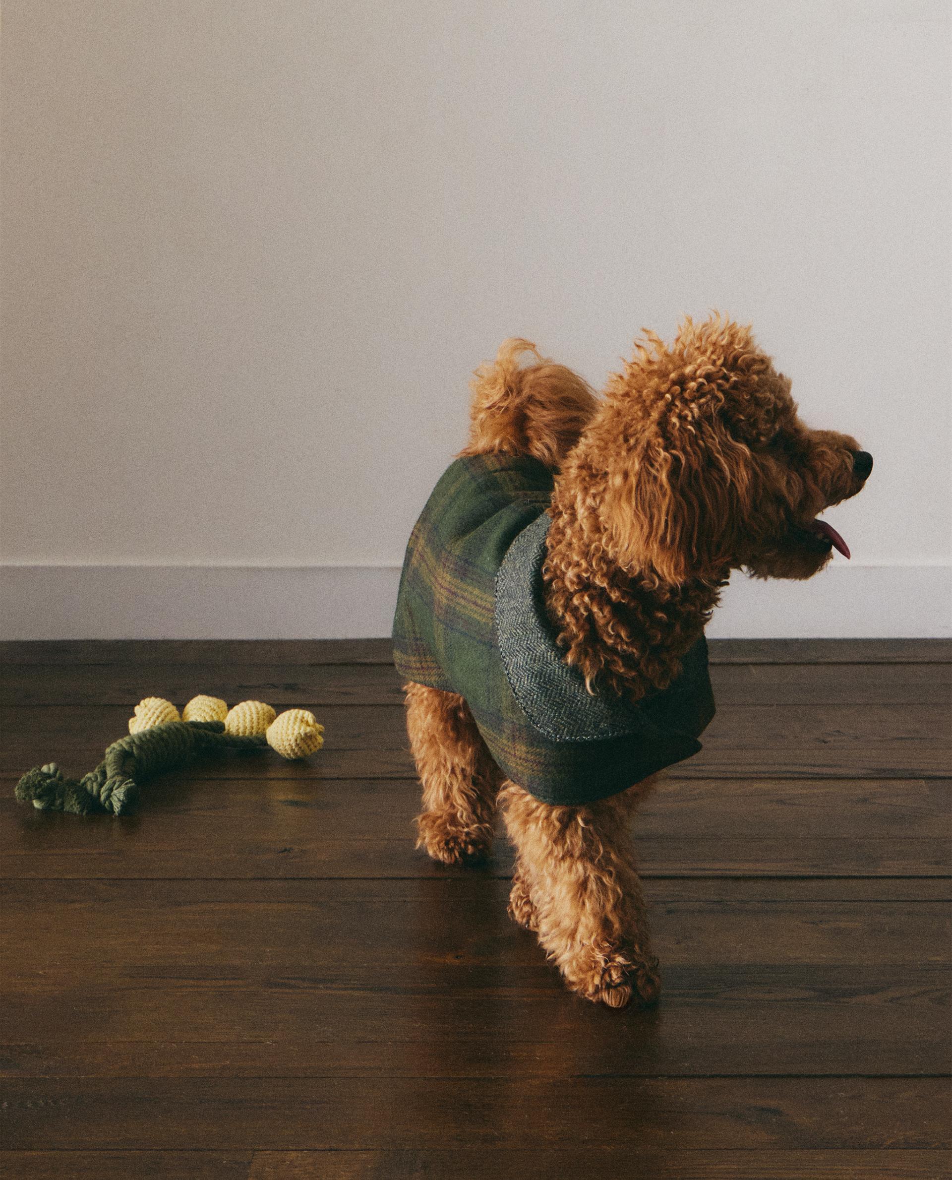 معطف صوف للحيوانات الأليفة معطف صوف للحيوانات الأليفة