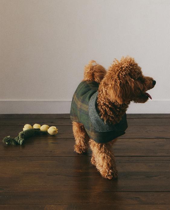 WOOL PET COAT WOOL PET COAT