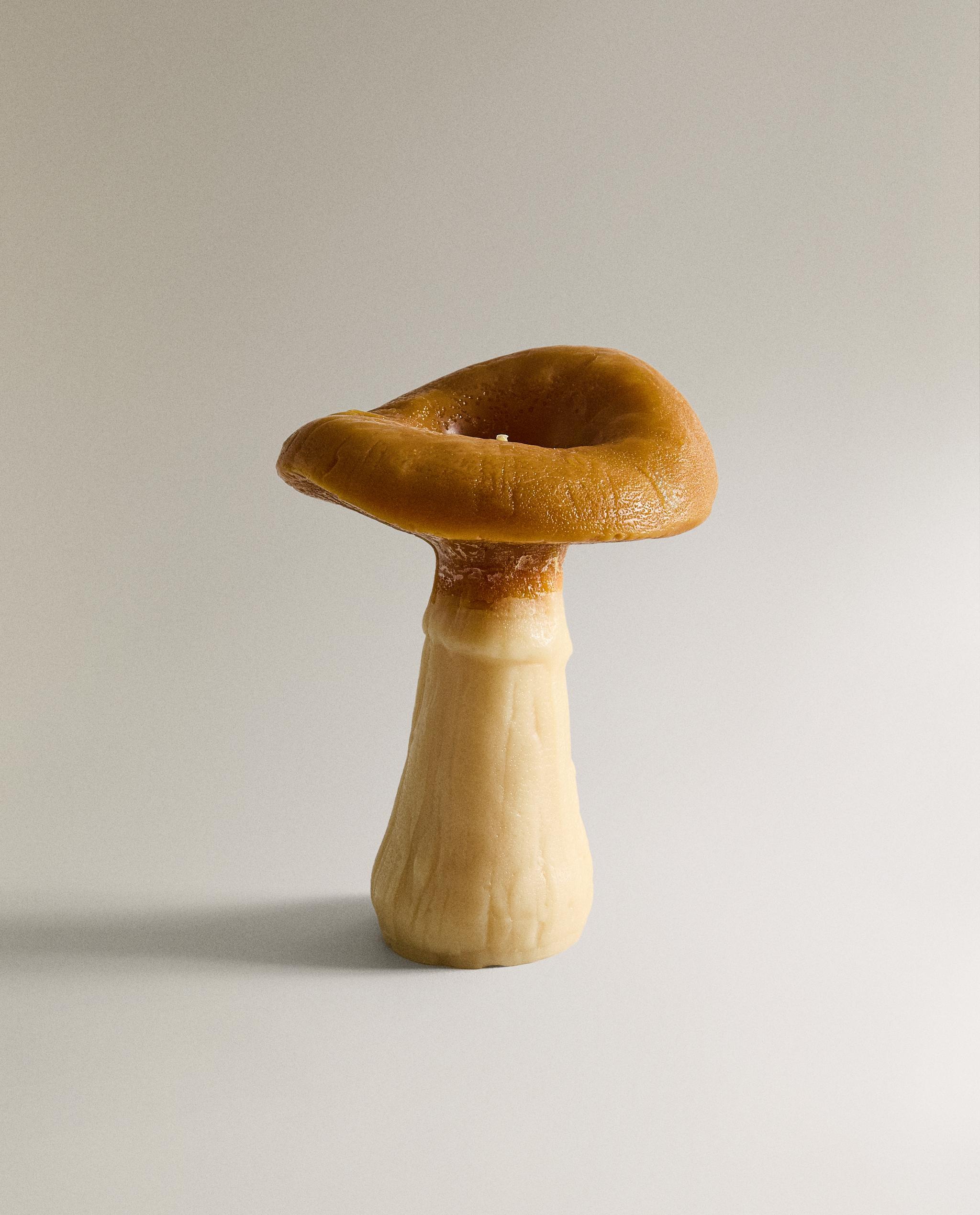 LARGE PUMPKIN SPICE SCENTED MUSHROOM CANDLE | Zara Home