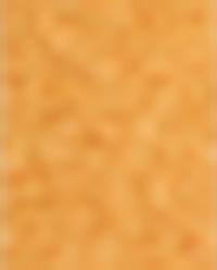 (190 ML) VETIVER MANGO REED DIFFUSERS