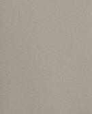 رمادي متوسط