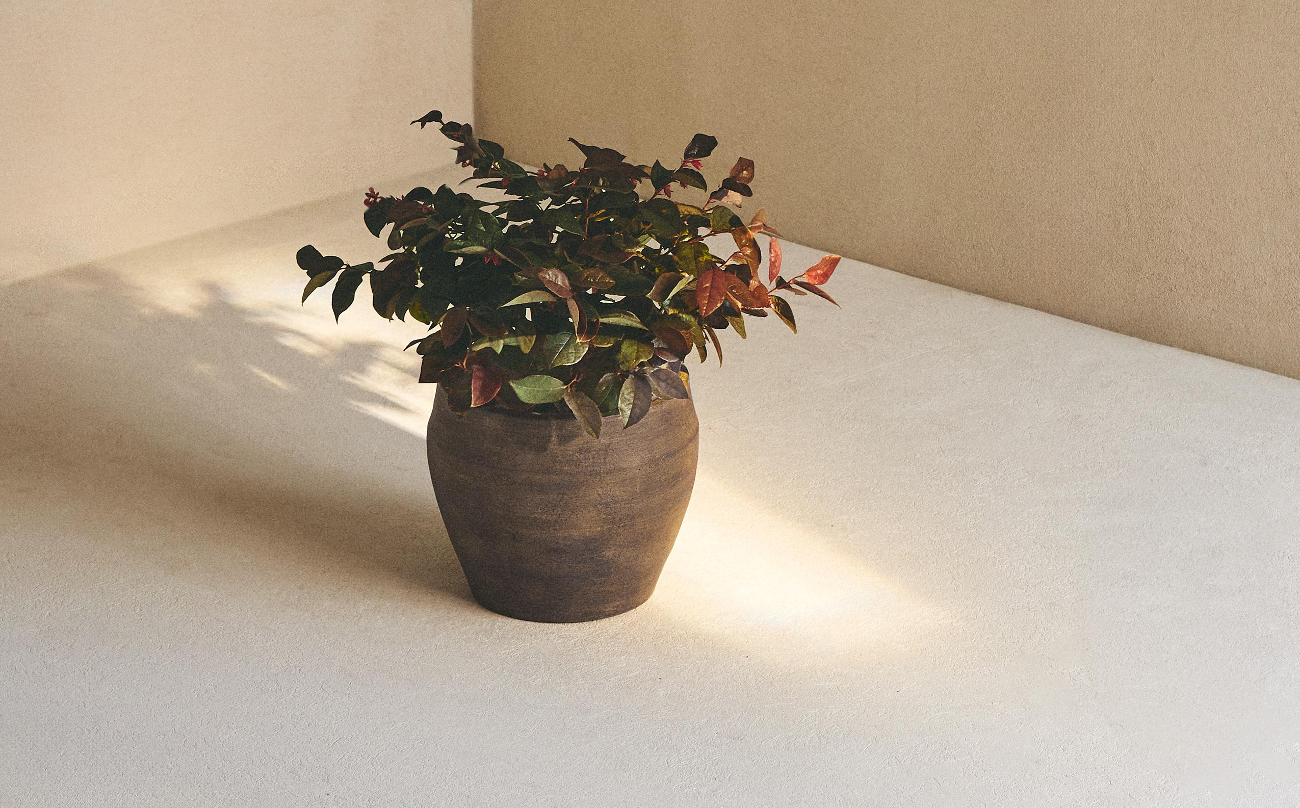 TERRACOTTA FLOWERPOT