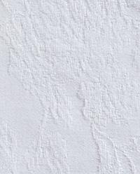PACK OF COTTON JACQUARD NAPKINS (PACK OF 2) product thumbnail 13