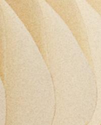 ペーパーフロア クリスマスツリー (160 CM) | Zara Home 日本/Japan