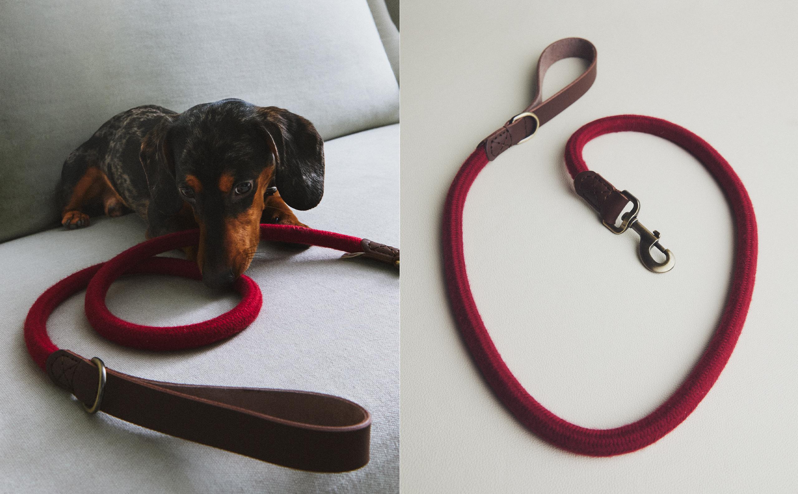 ZARA ペットコレクション　犬　リード　ハーネス ZARA【PET COLLECTION】PET COLLECTION COLOURED HARNESS (ZARA