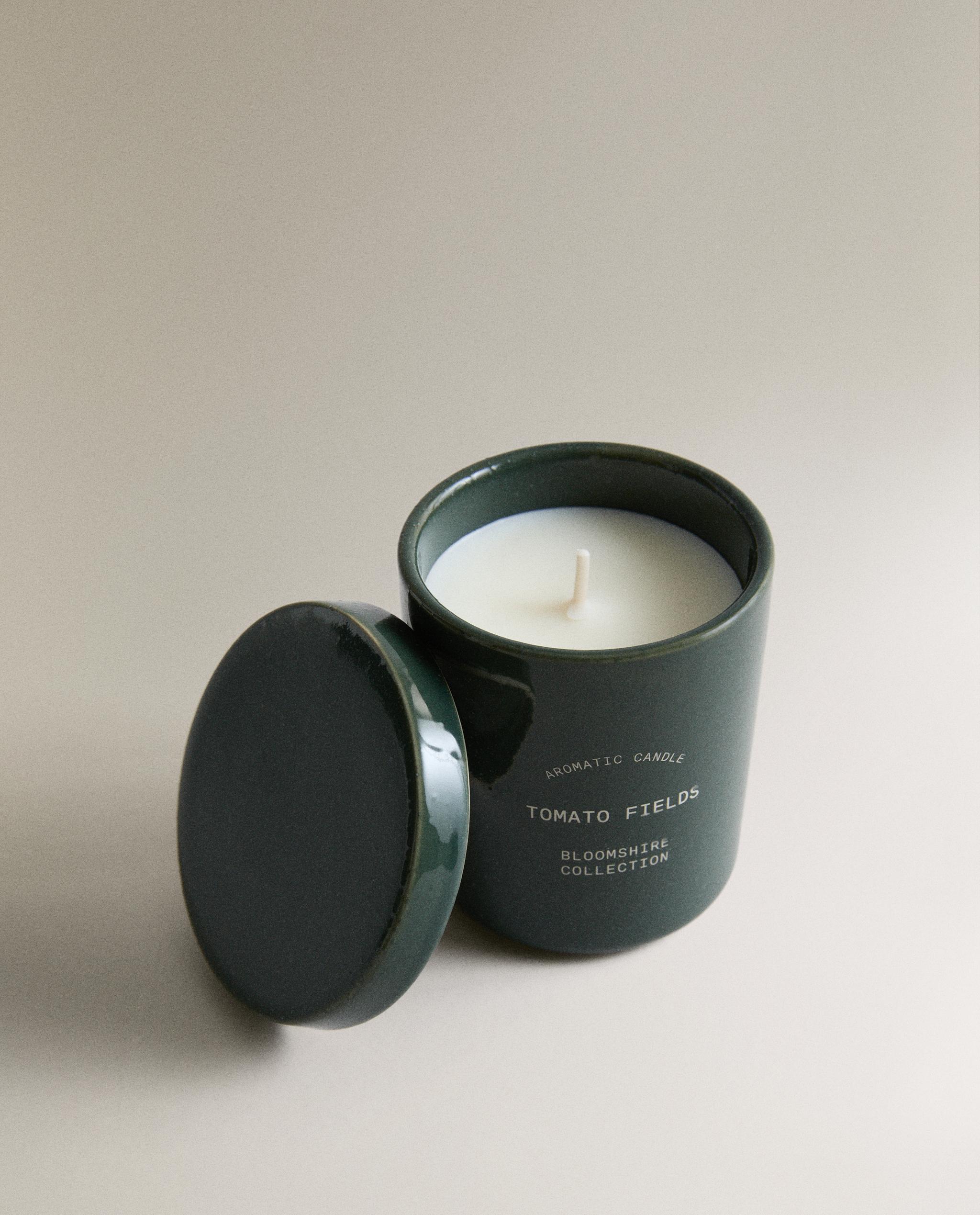 (170 G) TOMATO FIELDS SCENTED CANDLE product thumbnail 4