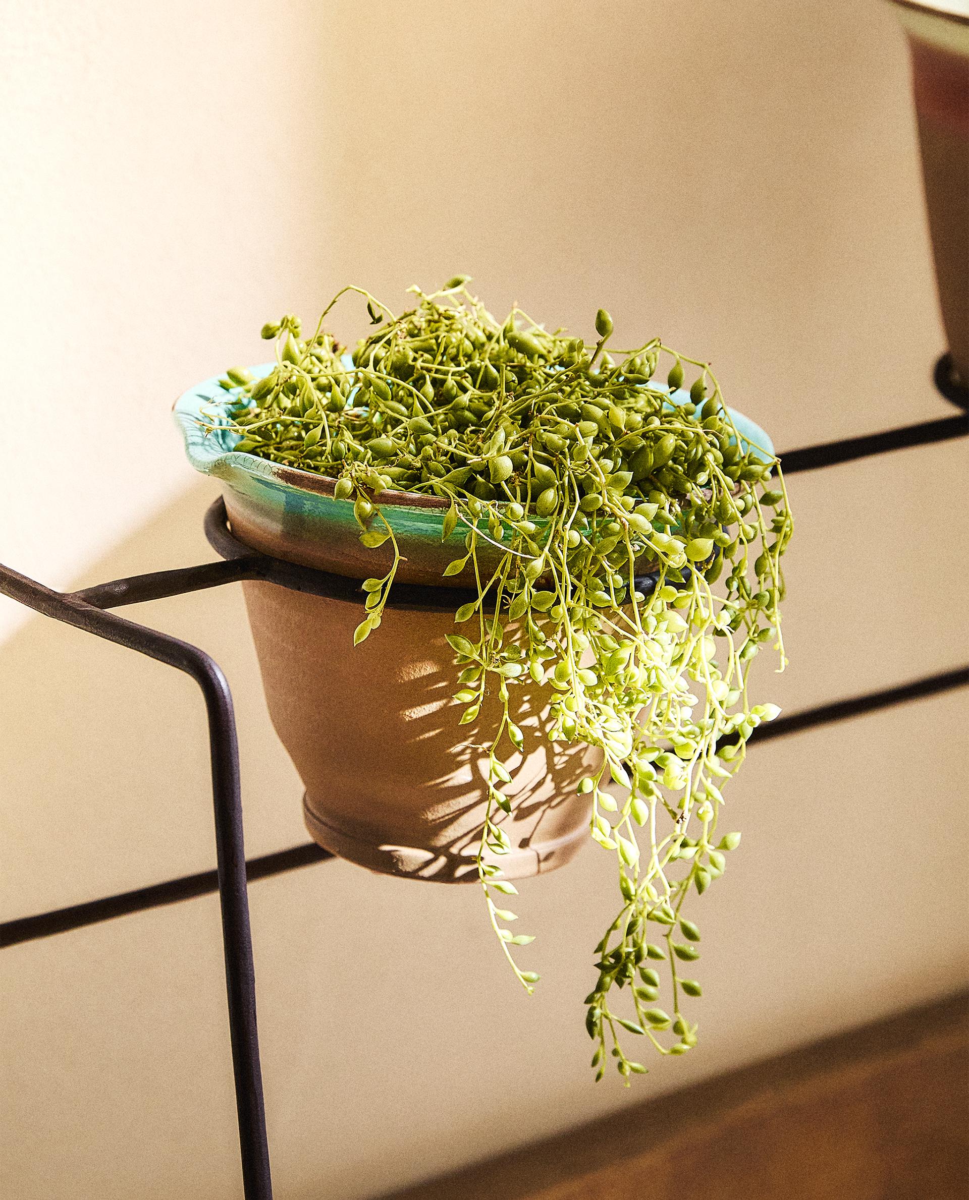 BLUMENTOPF KERAMIK KLEIN Zara Home Deutschland