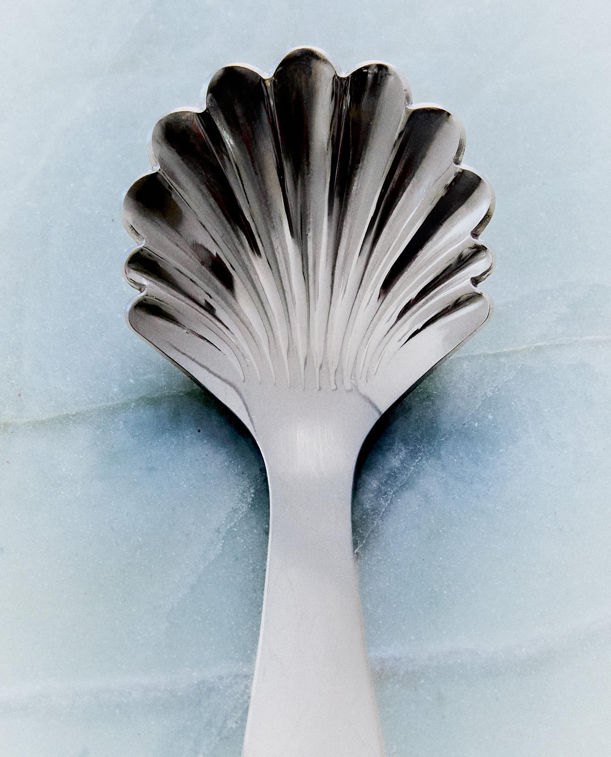 PACK OF STEEL SHELL DESSERT SPOONS product thumbnail 10