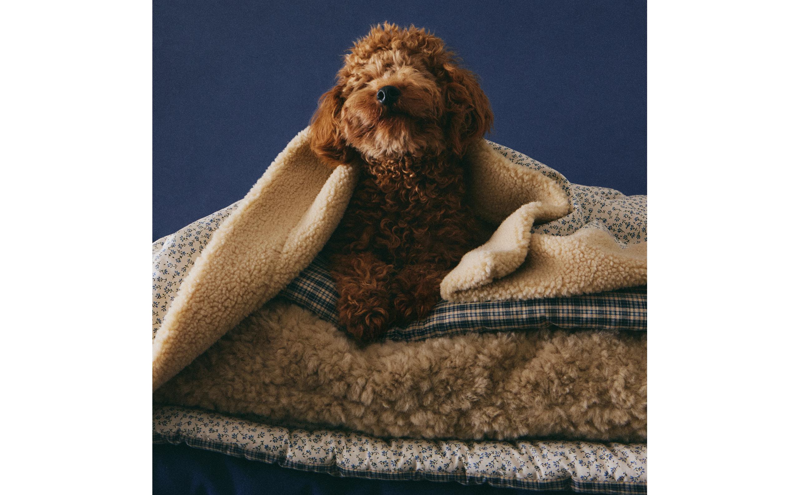 新着情報 | Zara Home 日本/Japan