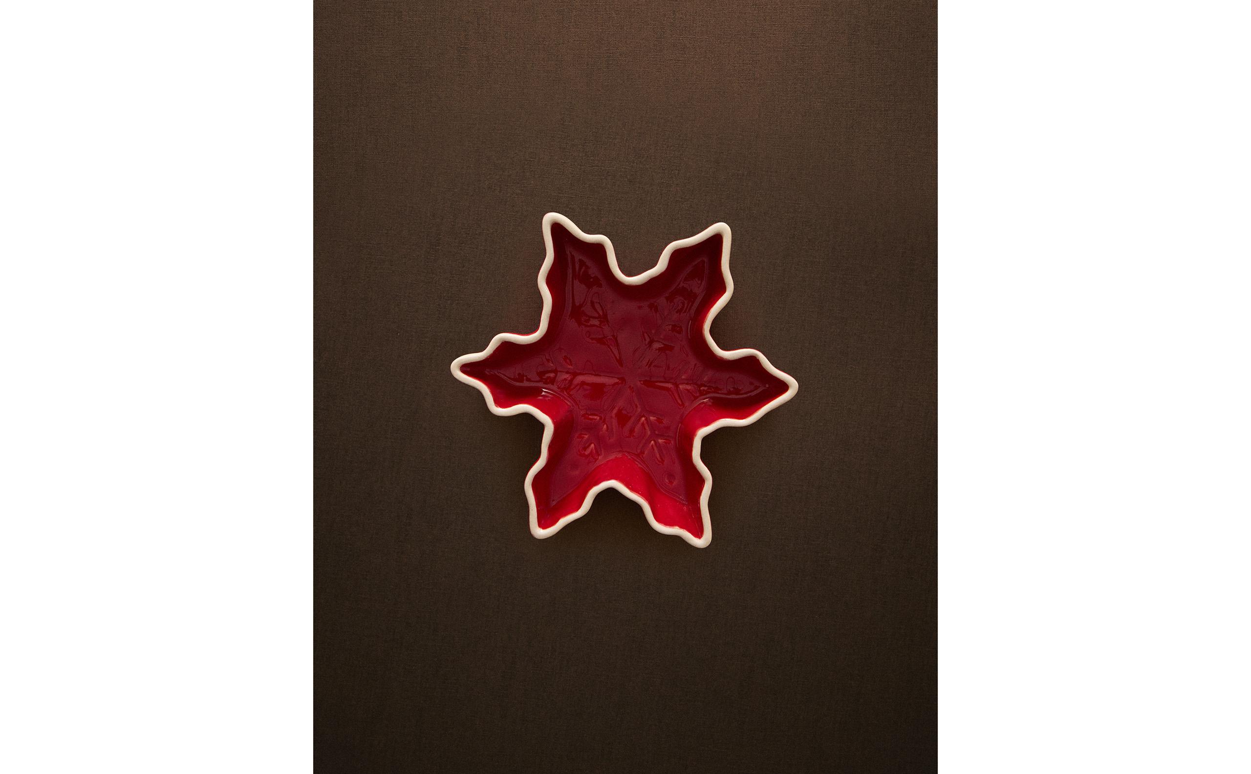 ストーンウェア スノーフレーク クリスマスプレート | Zara Home 日本