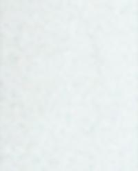 FLORAL LACE NIGHTDRESS product thumbnail 2