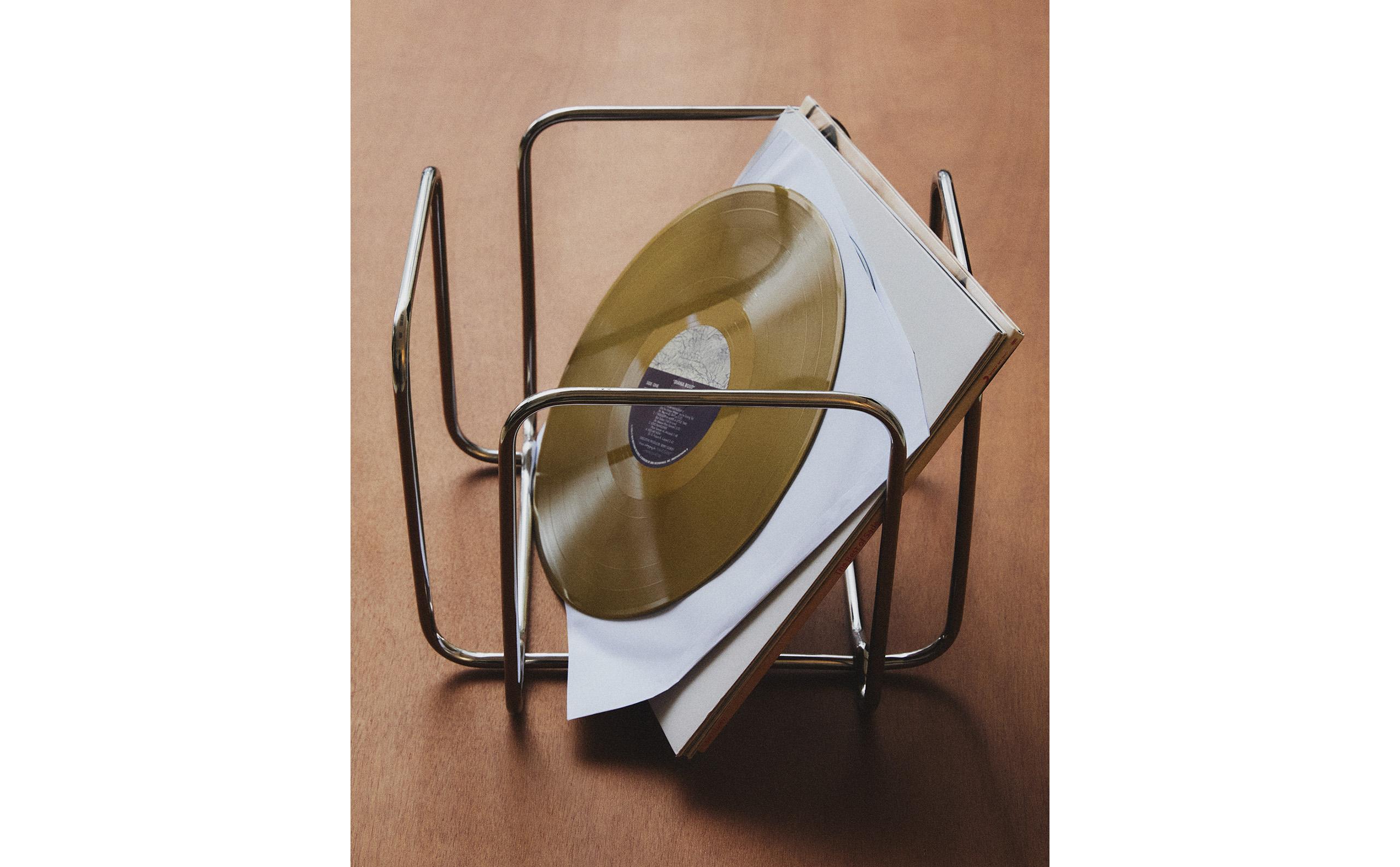STAINLESS STEEL VINYL ORGANISER product thumbnail 2