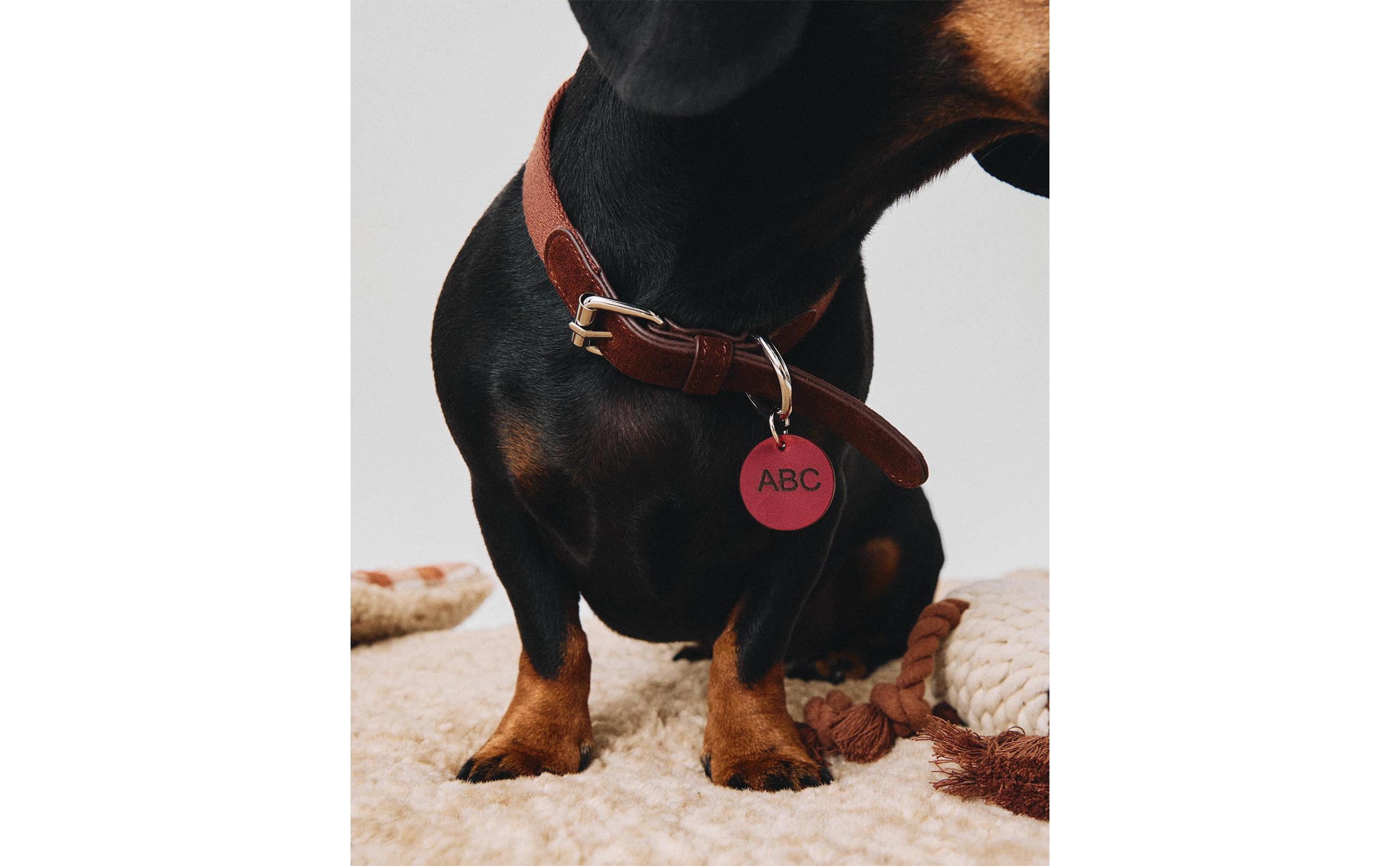 LEATHER PET COLLAR product thumbnail 14