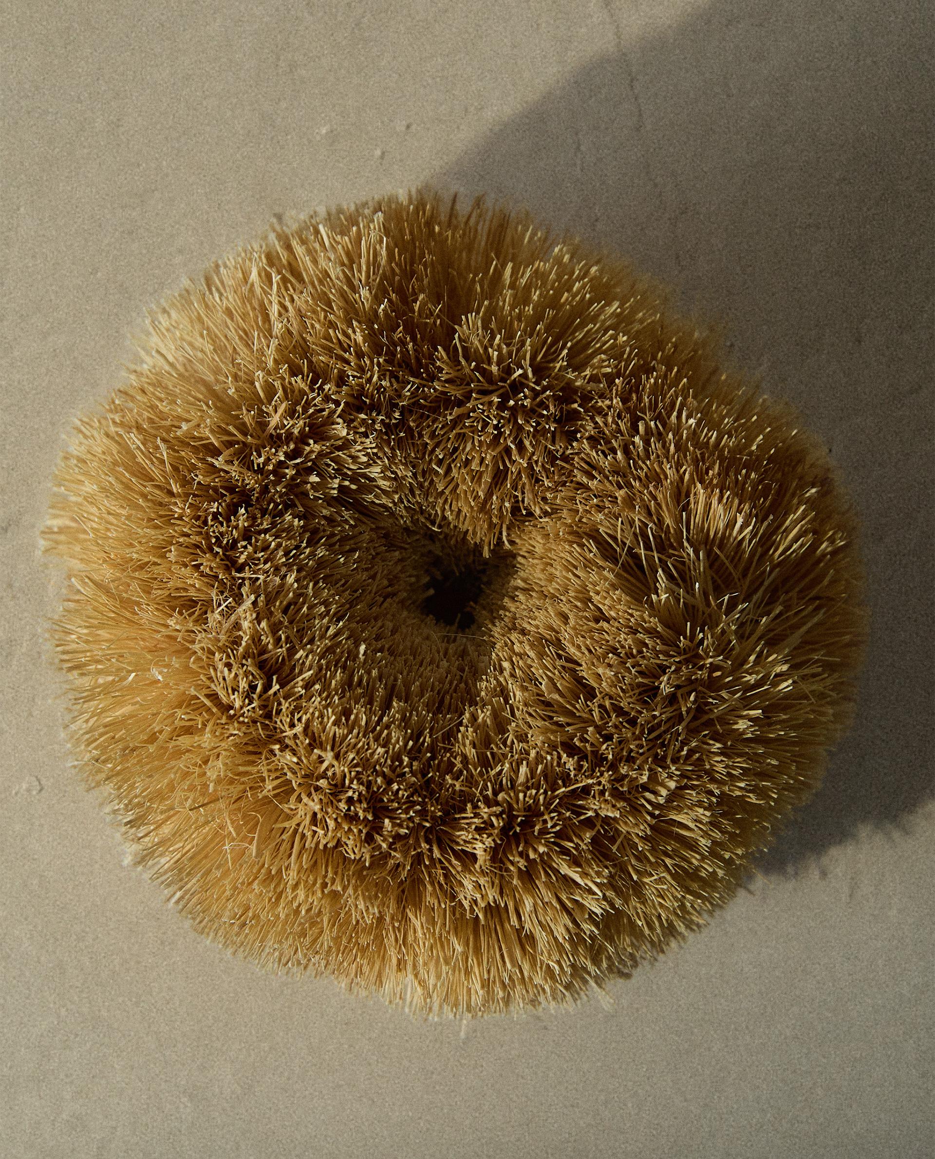 SISAL SCOURER