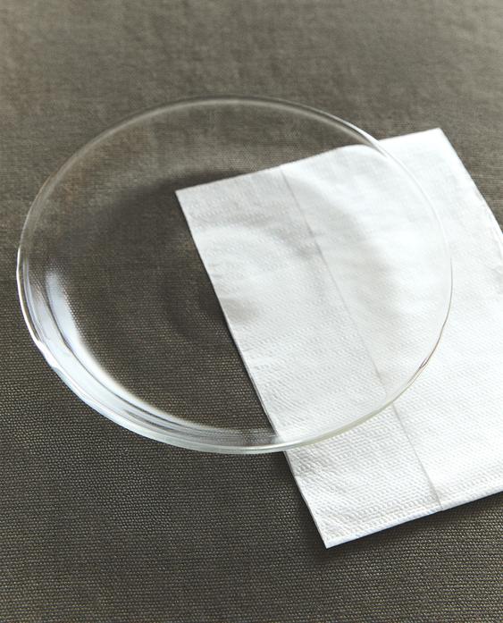 BOROSILICATE GLASS SIDE PLATE WITH RIM