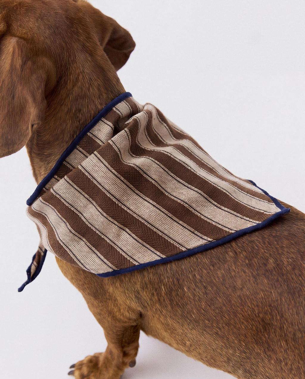 STRIPED PET BANDANA